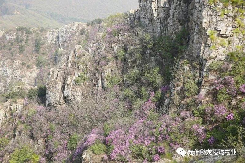 ��ҳ - JDB���ӹٷ���վ