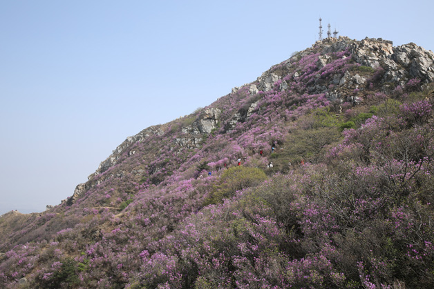 ��ҳ - JDB���ӹٷ���վ