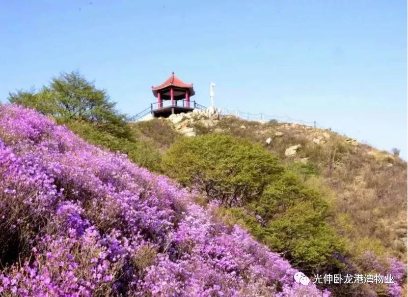 ��ҳ - JDB���ӹٷ���վ