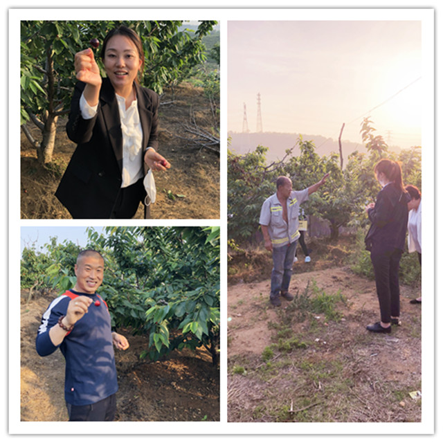 ��ҳ - JDB���ӹٷ���վ