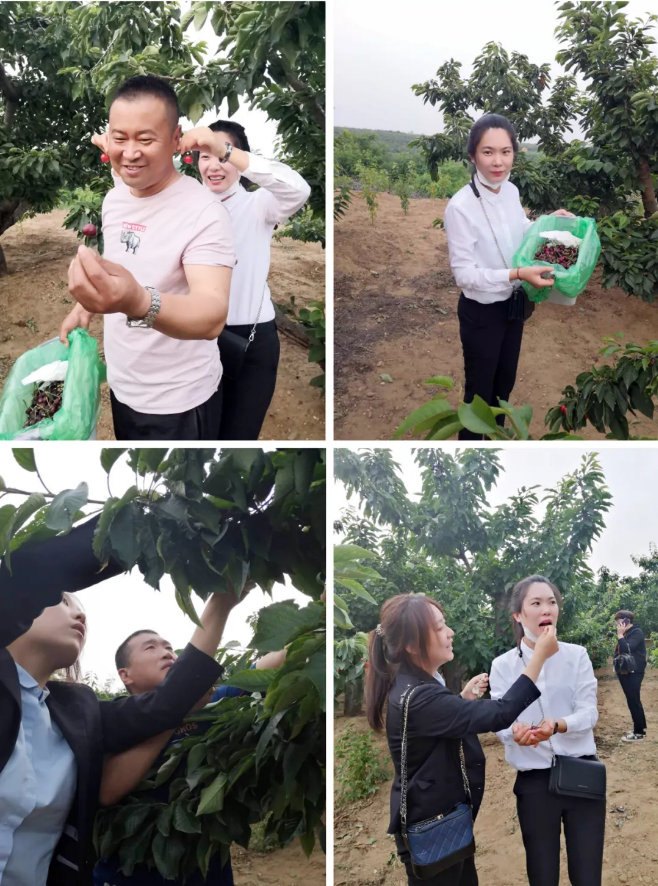 9ea08388ae8f80be019d4d215c01d55e 首页 - JDB电子官方网站