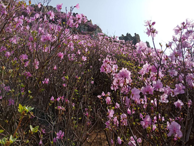 ��ҳ - JDB���ӹٷ���վ