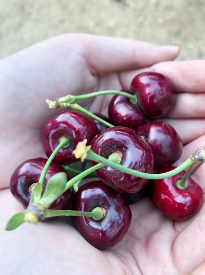 e2617fa653ff0edd62ff5c28cff922a1 首页 - JDB电子官方网站