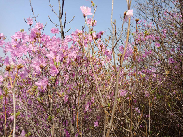 ��ҳ - JDB���ӹٷ���վ